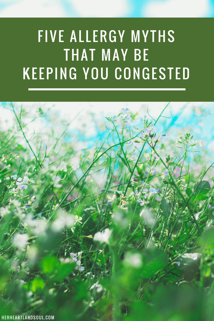 Five allergy myths that may be keeping you congested