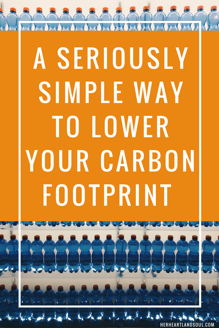 One thing to start doing today to lower your carbon footprint