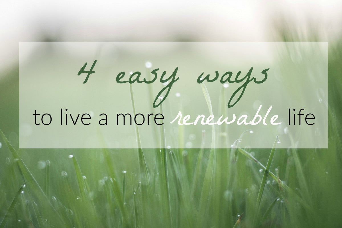 4 easy ways to live a more renewable life