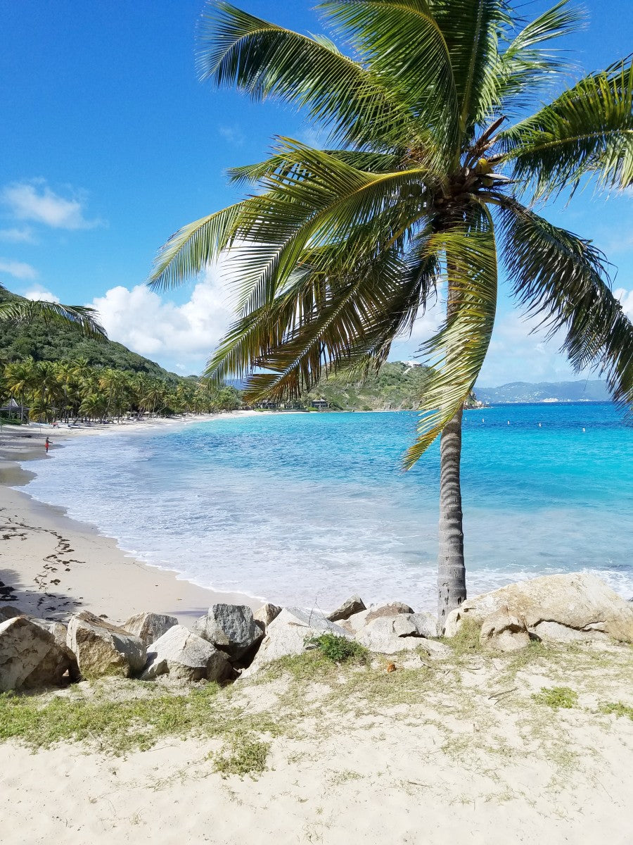 A Day on Peter Island