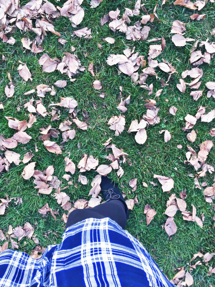 Weekend Snapshots