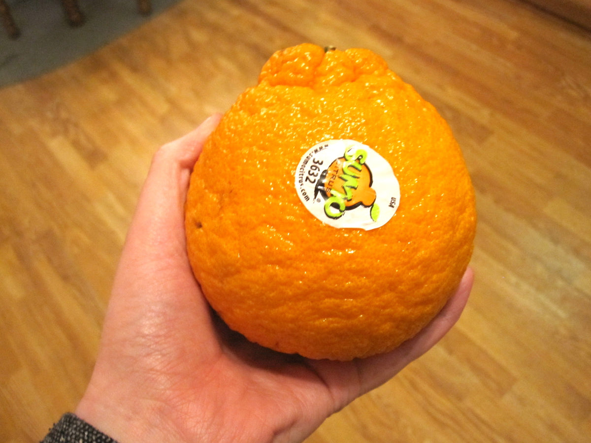The Truth About Orange Juice