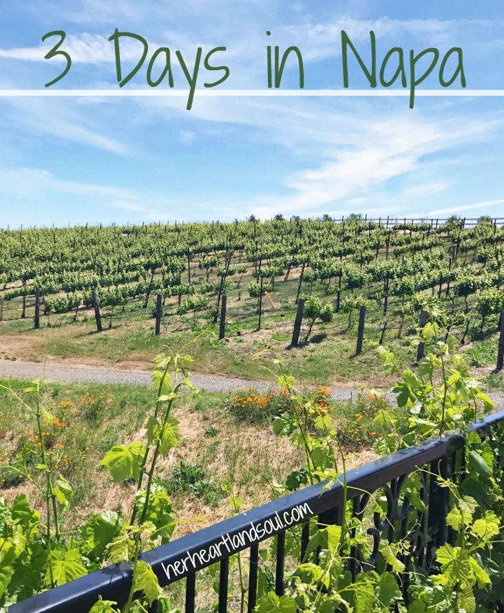 Exploring Downtown Napa