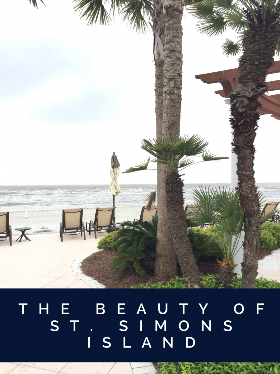 The Beauty of St. Simons Island