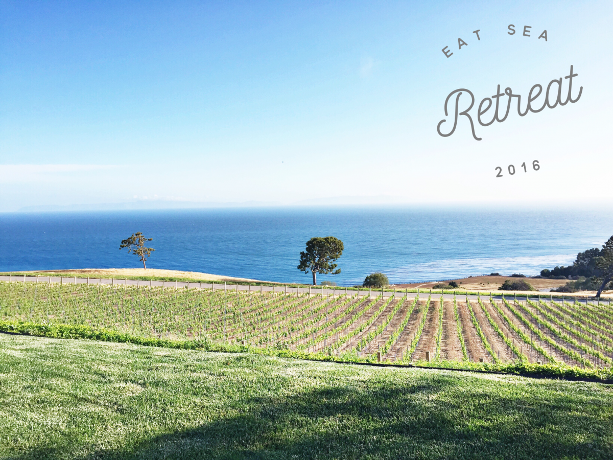 Eat Sea Retreat