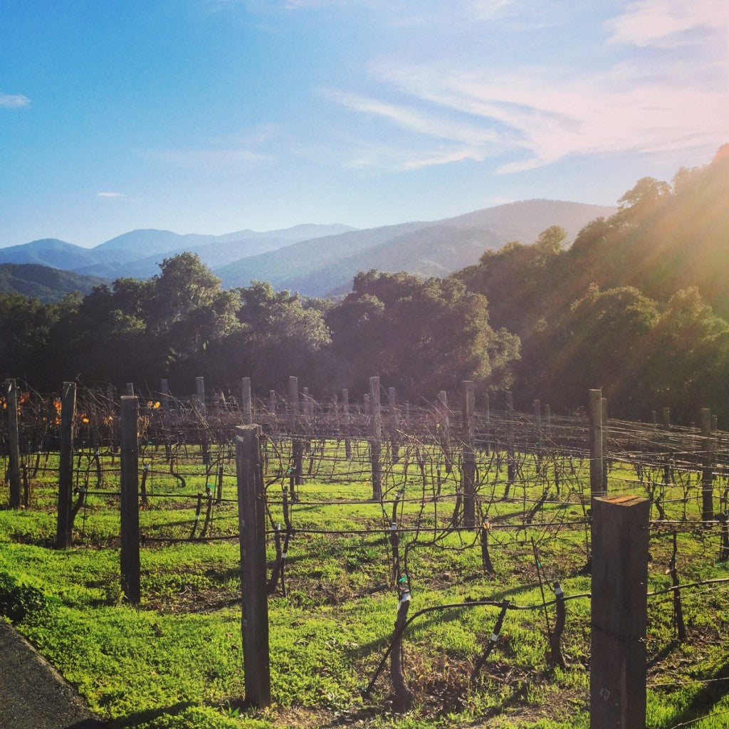 Exploring Holman Ranch in Carmel Valley