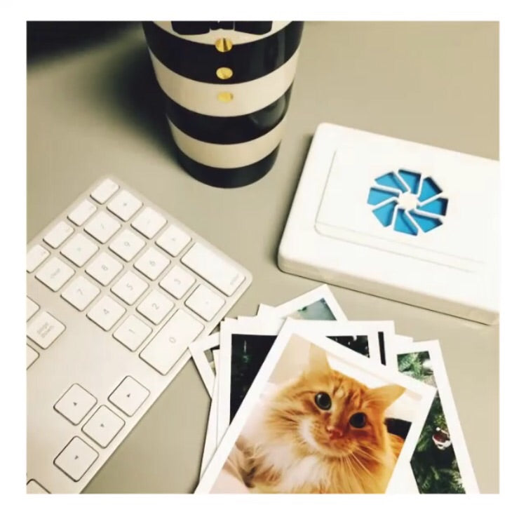Capturing Special Moments with timeshel