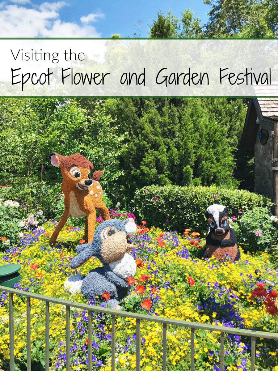 Visiting the Epcot Flower and Garden Festival