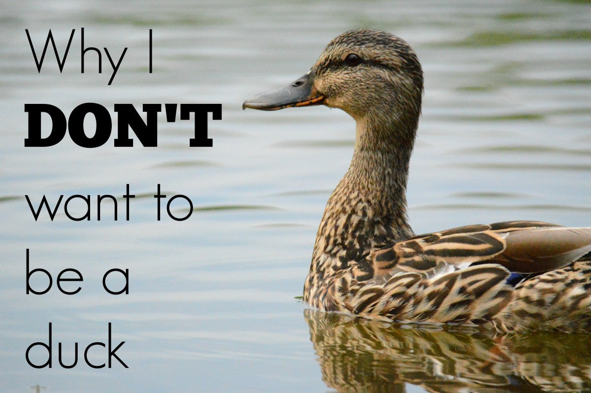 Why I Don't Want to Be A Duck