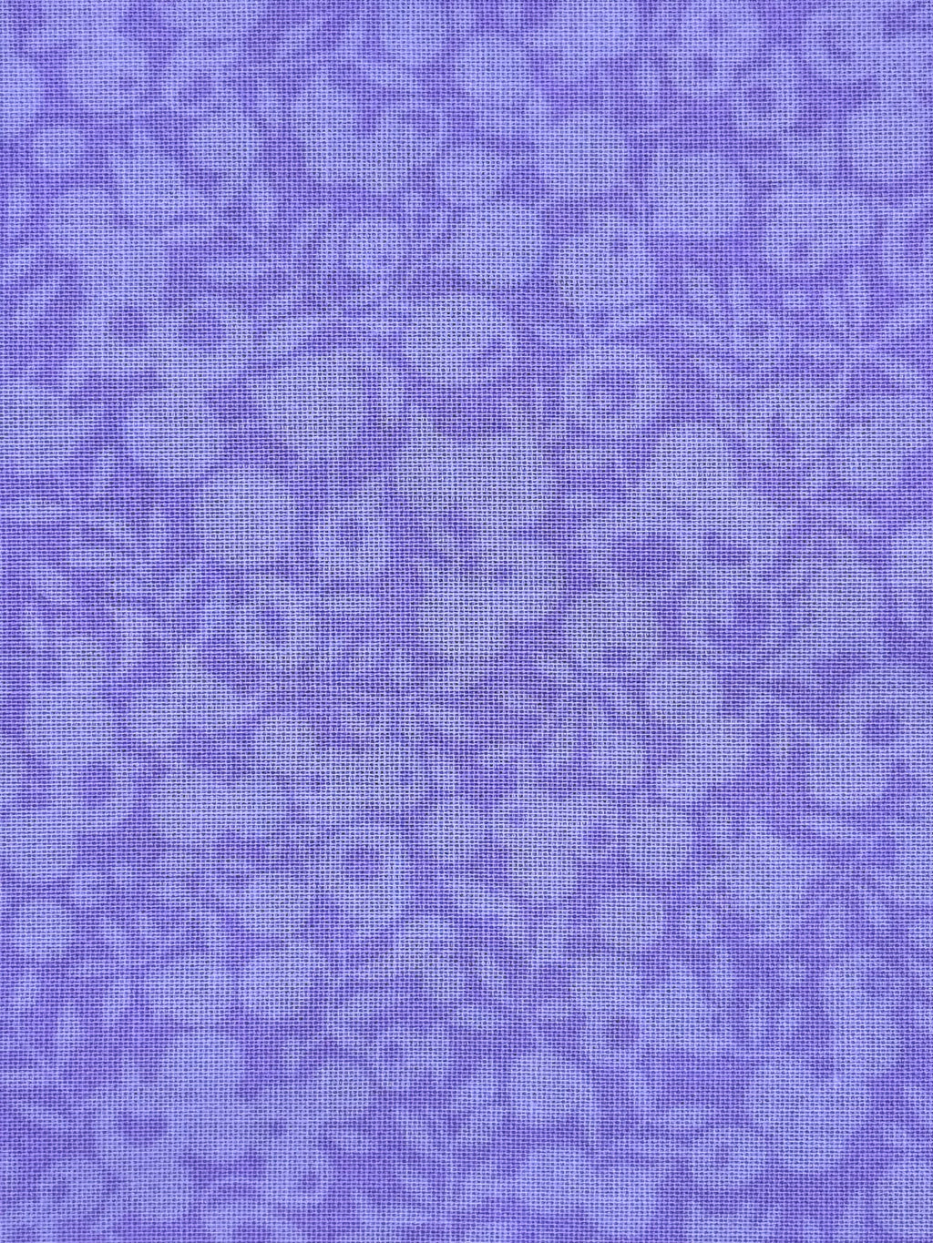 Purple blooms