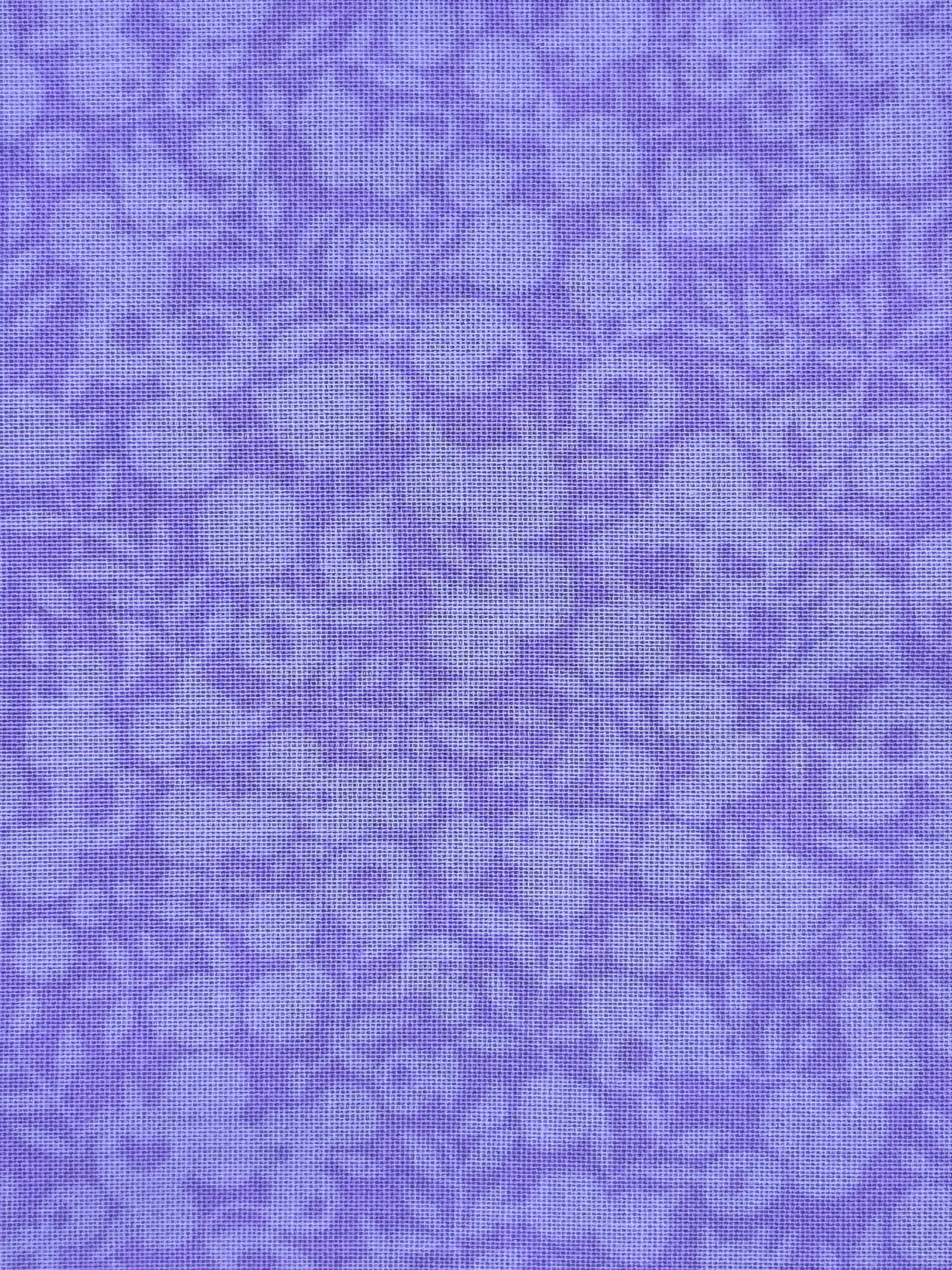 Purple blooms