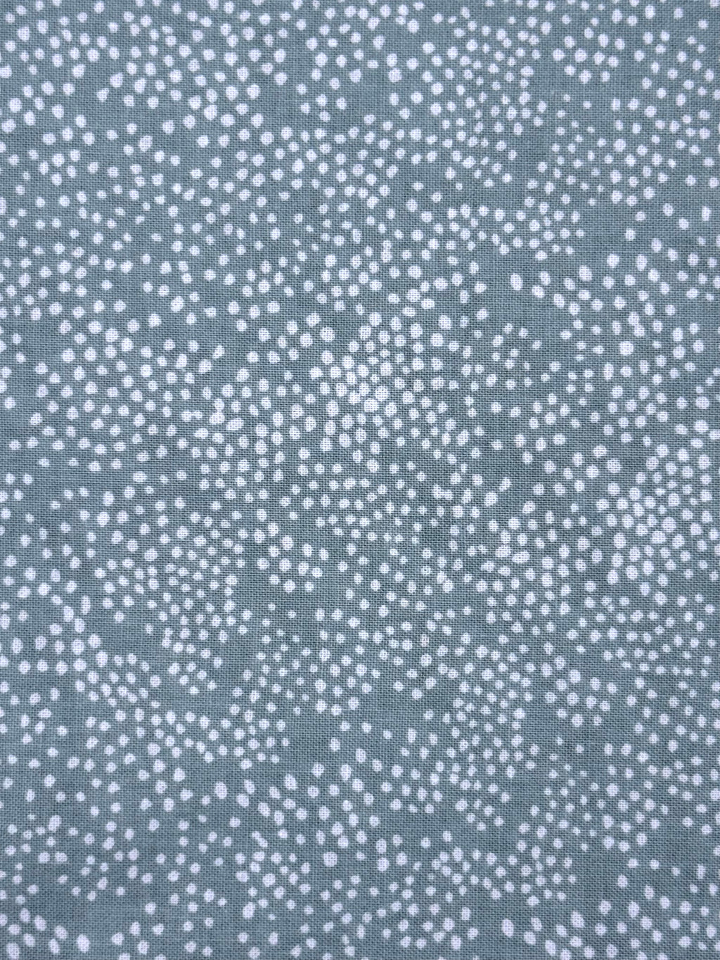 A close-up of a fabric or material swatch with a repeating white dotted pattern on a muted blue-sage background.