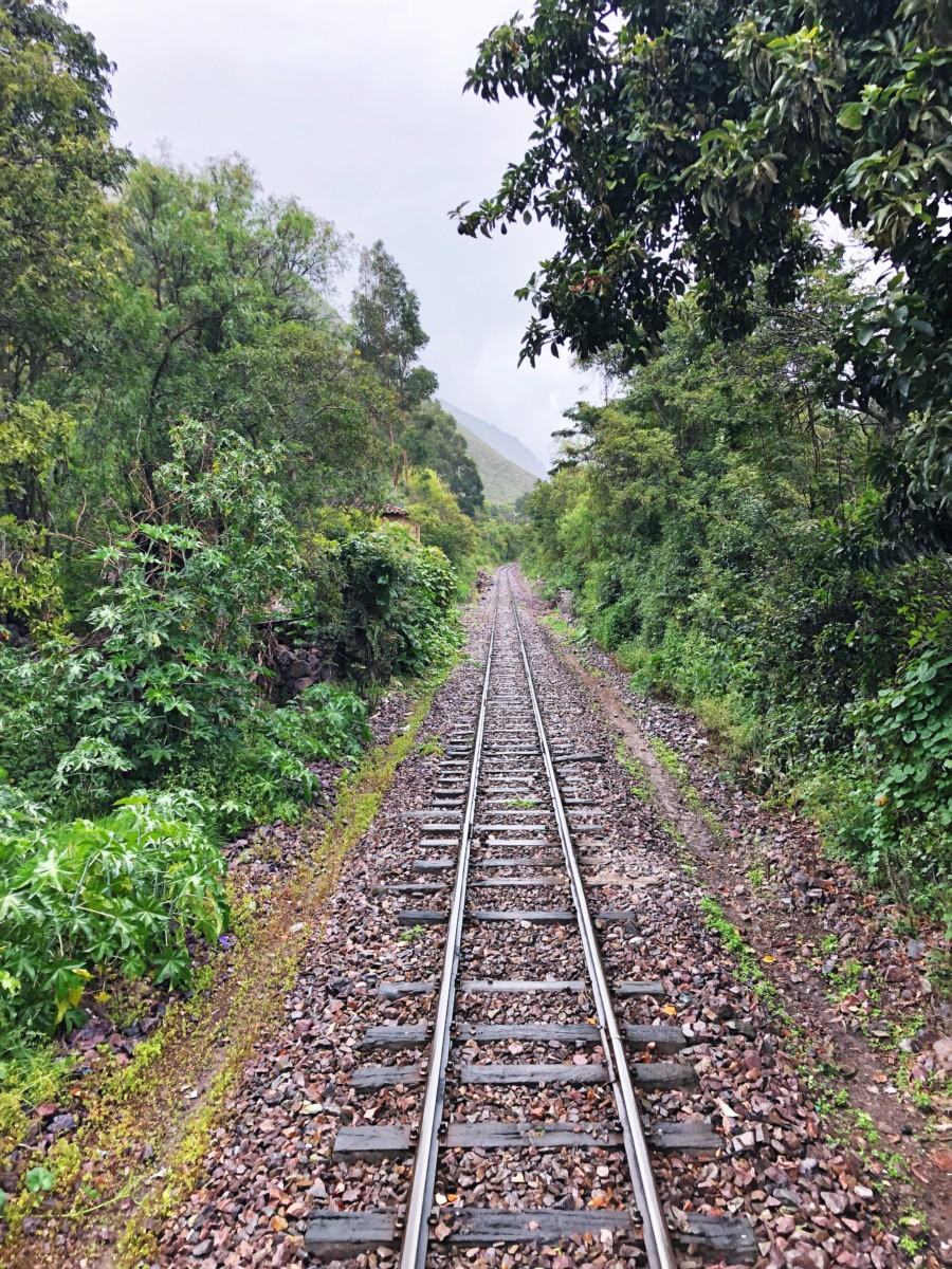 Views aboard PeruRail Sacred Valley Train to Machu Picchu