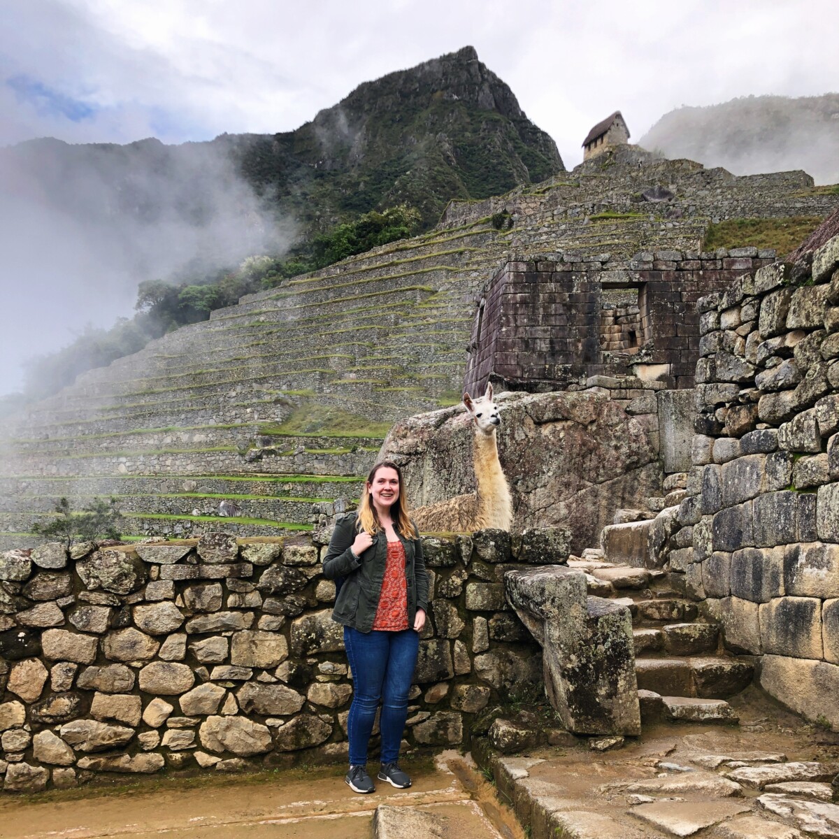 Llamas in Machu Picchu Her Heartland Soul