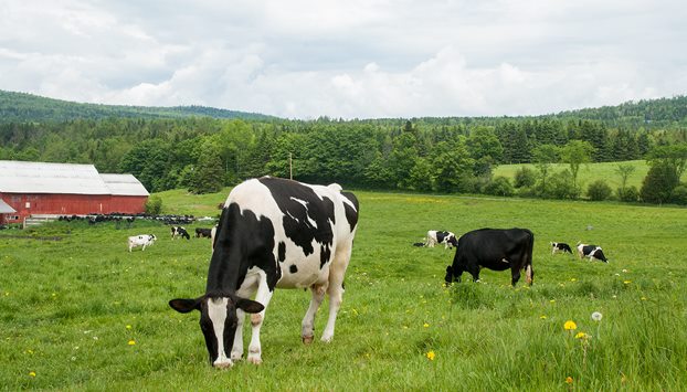 Stonyfield Tour de Farm Her Heartland Soul