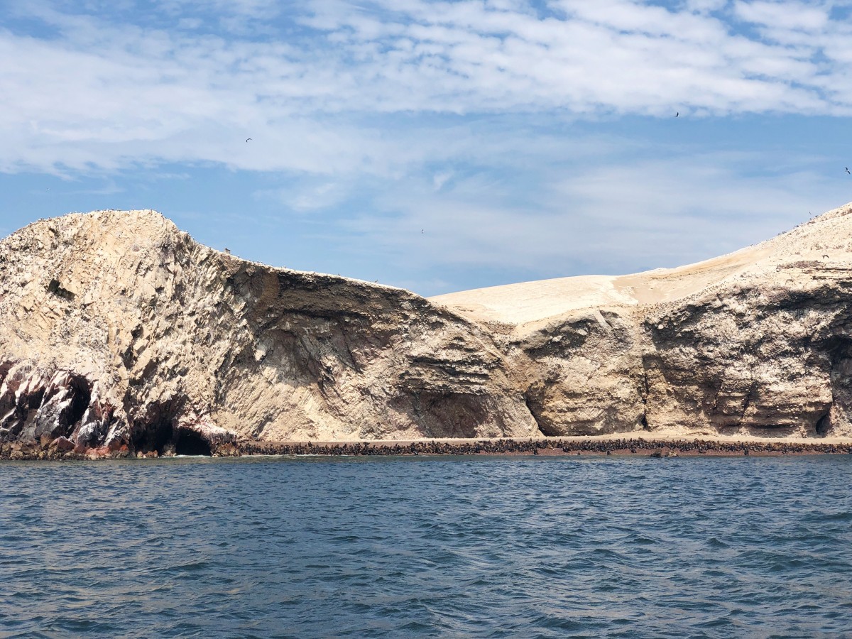 Ballestas Islands Paracas - Peru - Her Heartland Soul