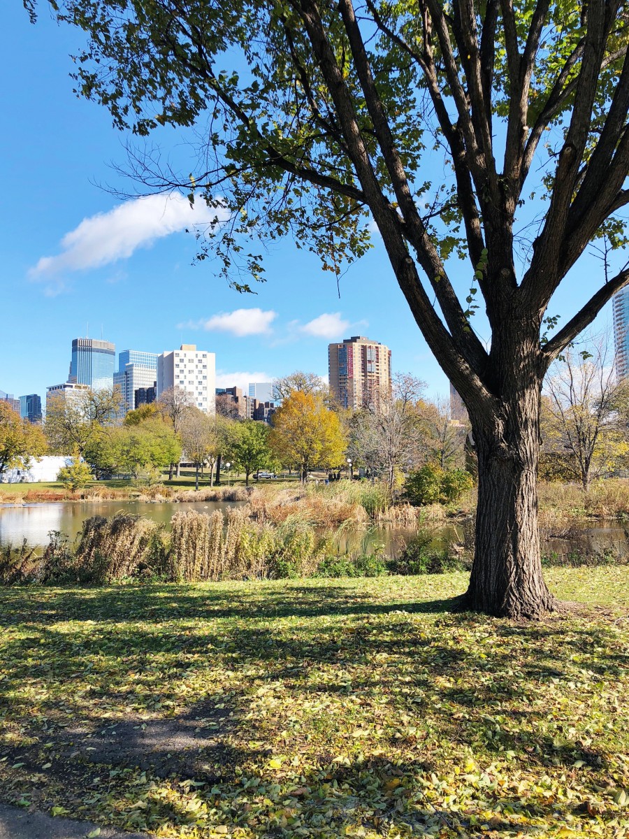 Minneapolis Sculpture Garden - Minneapolis Minnesota - Her Heartland Soul