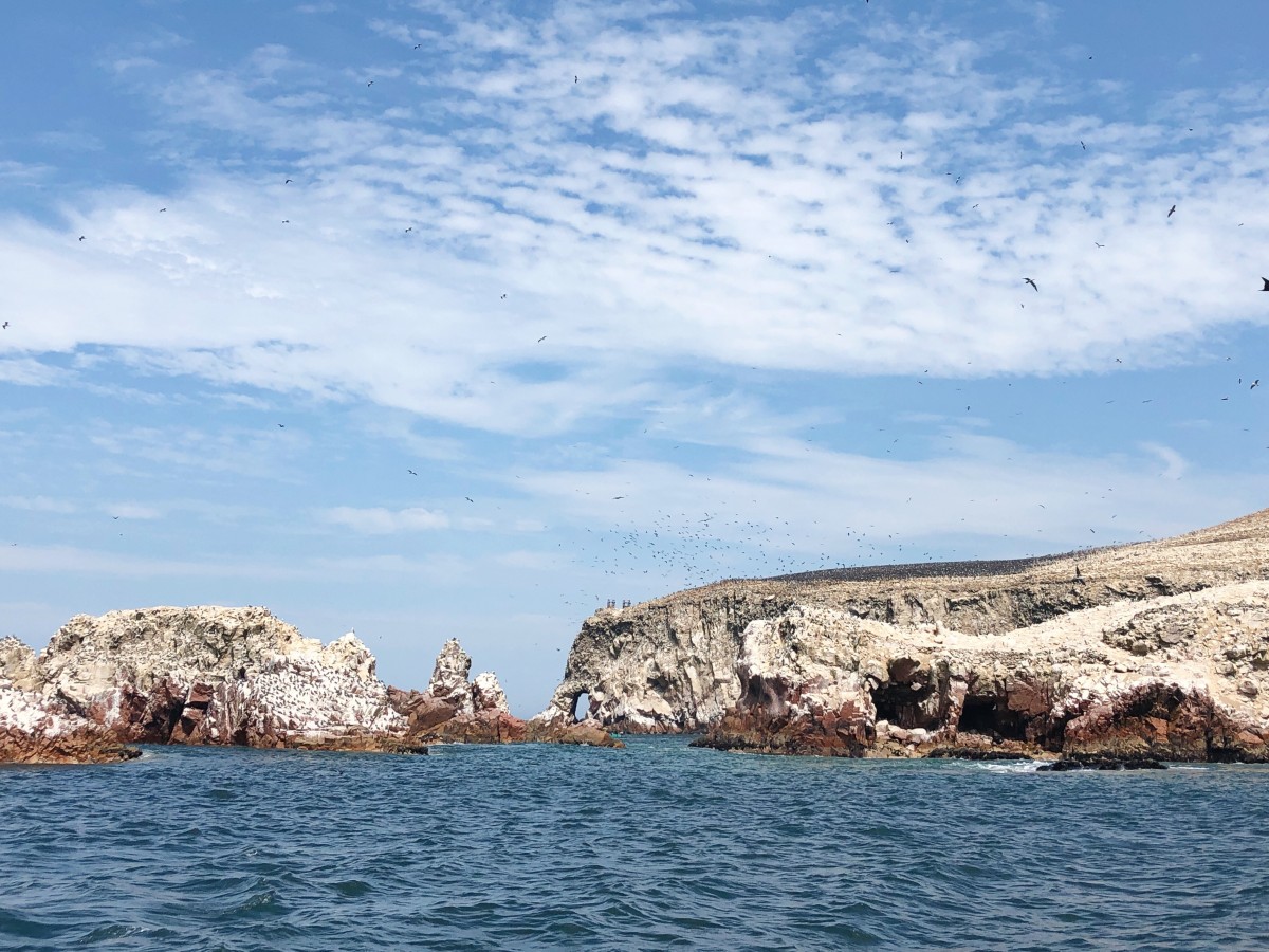 Ballestas Islands Paracas - Peru - Her Heartland Soul