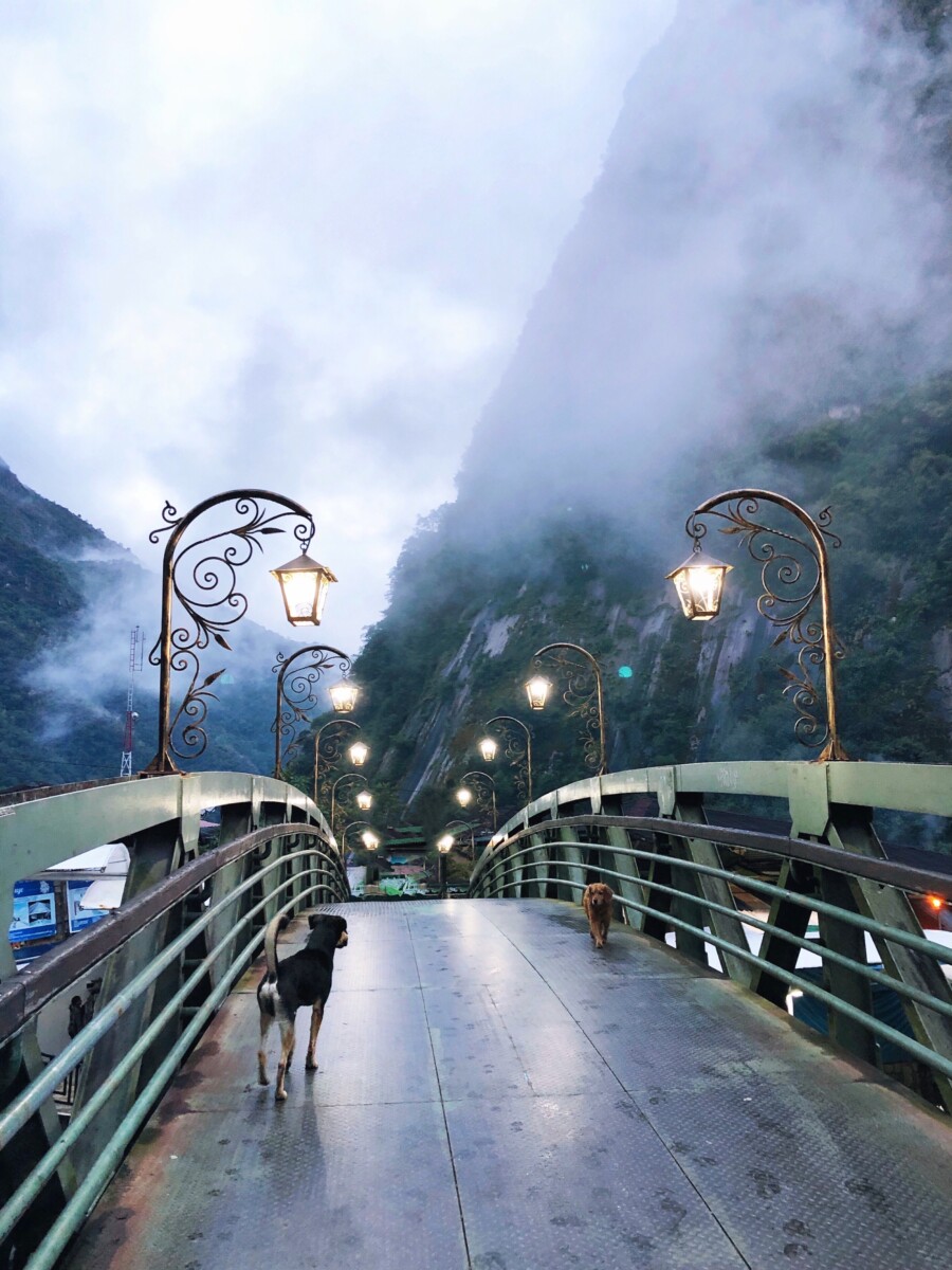 Dogs crossing bridge in Aguas Calientes Machu Picchu Peru Her Heartland Soul