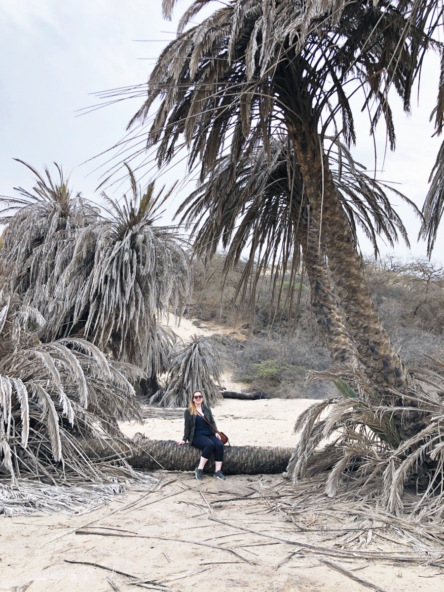 Hotel Paracas Venturia Desert Adventure Peru - Her Heartland Soul