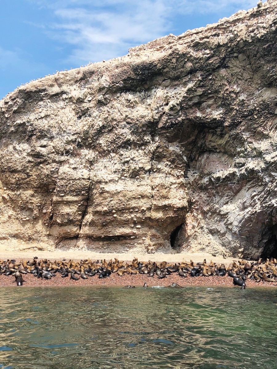 Ballestas Islands Paracas - Peru - Her Heartland Soul