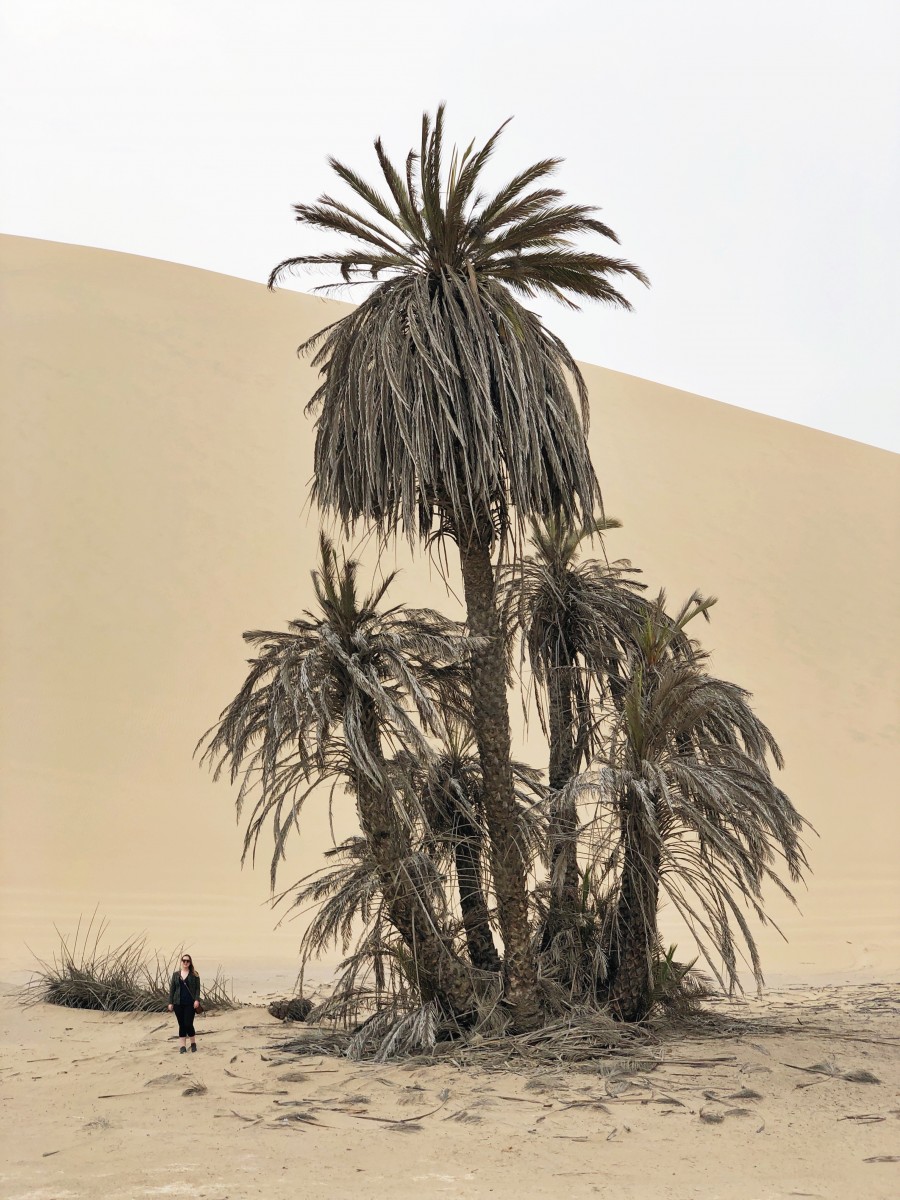 Hotel Paracas Venturia Desert Adventure Peru - Her Heartland Soul