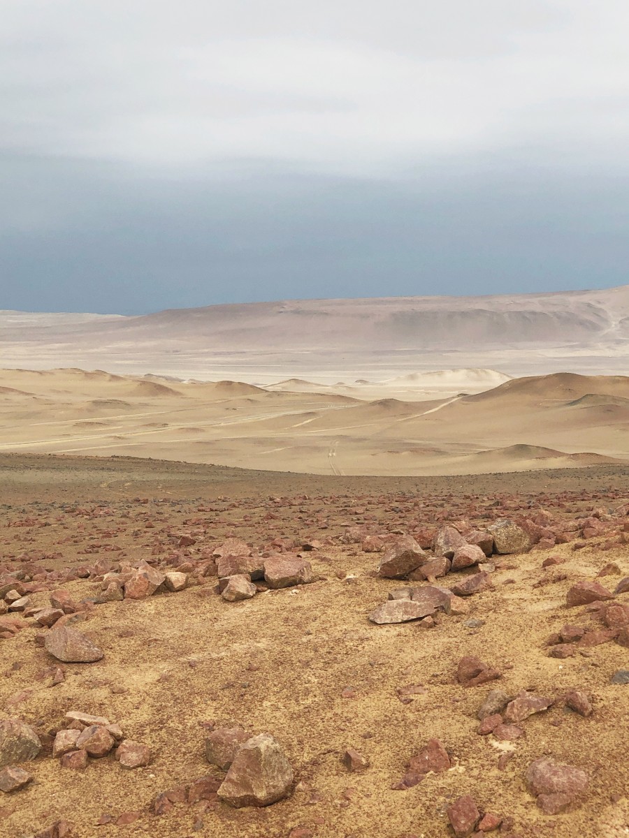 Paracas National Reserve - Peru - Her Heartland Soul