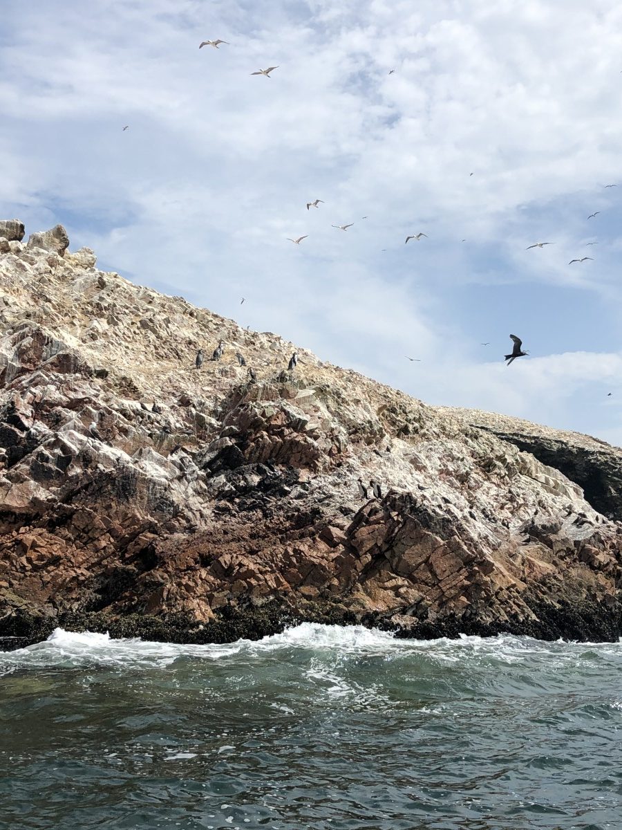 Ballestas Islands Paracas - Peru - Her Heartland Soul