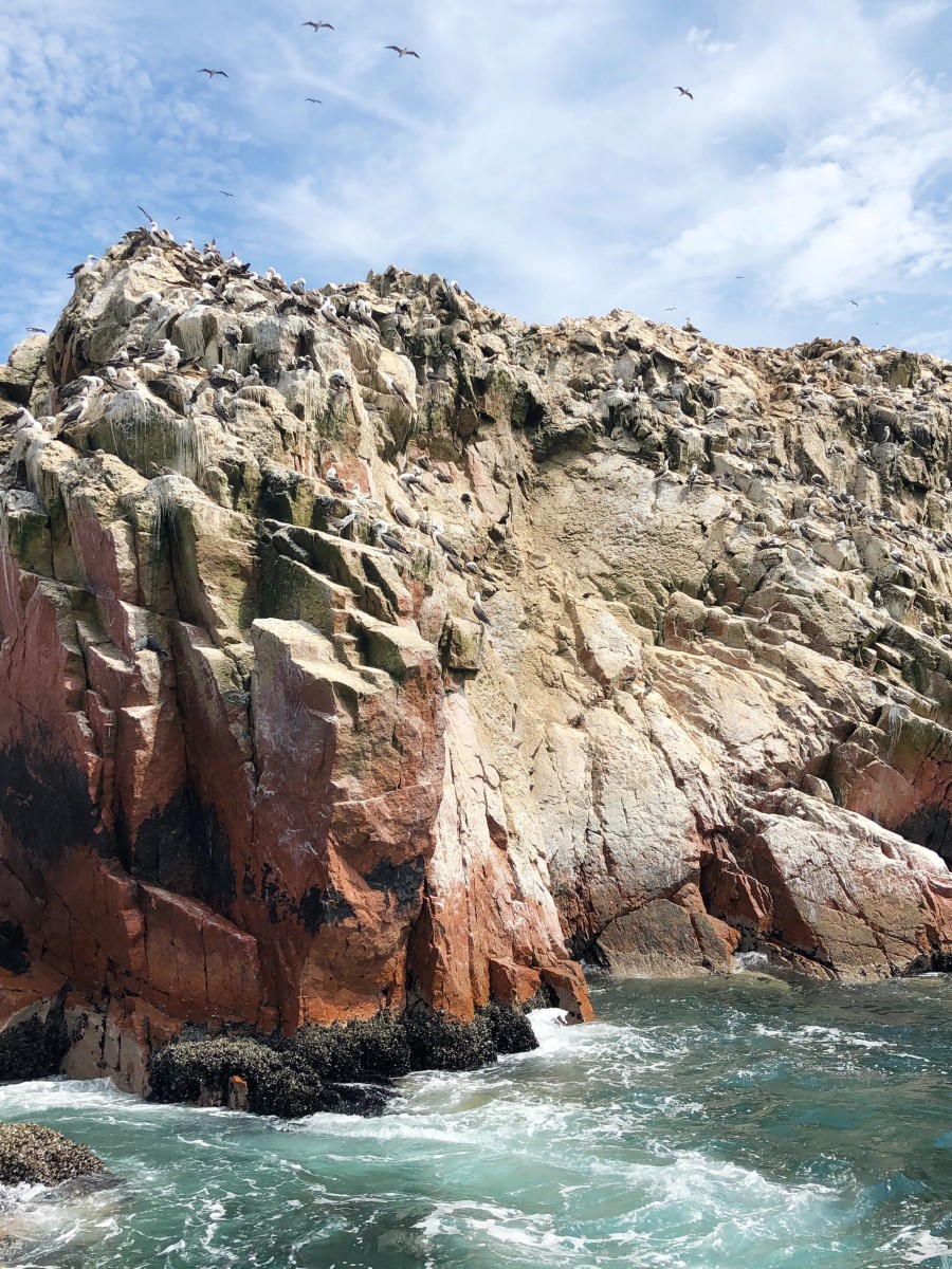 Ballestas Islands Paracas - Peru - Her Heartland Soul