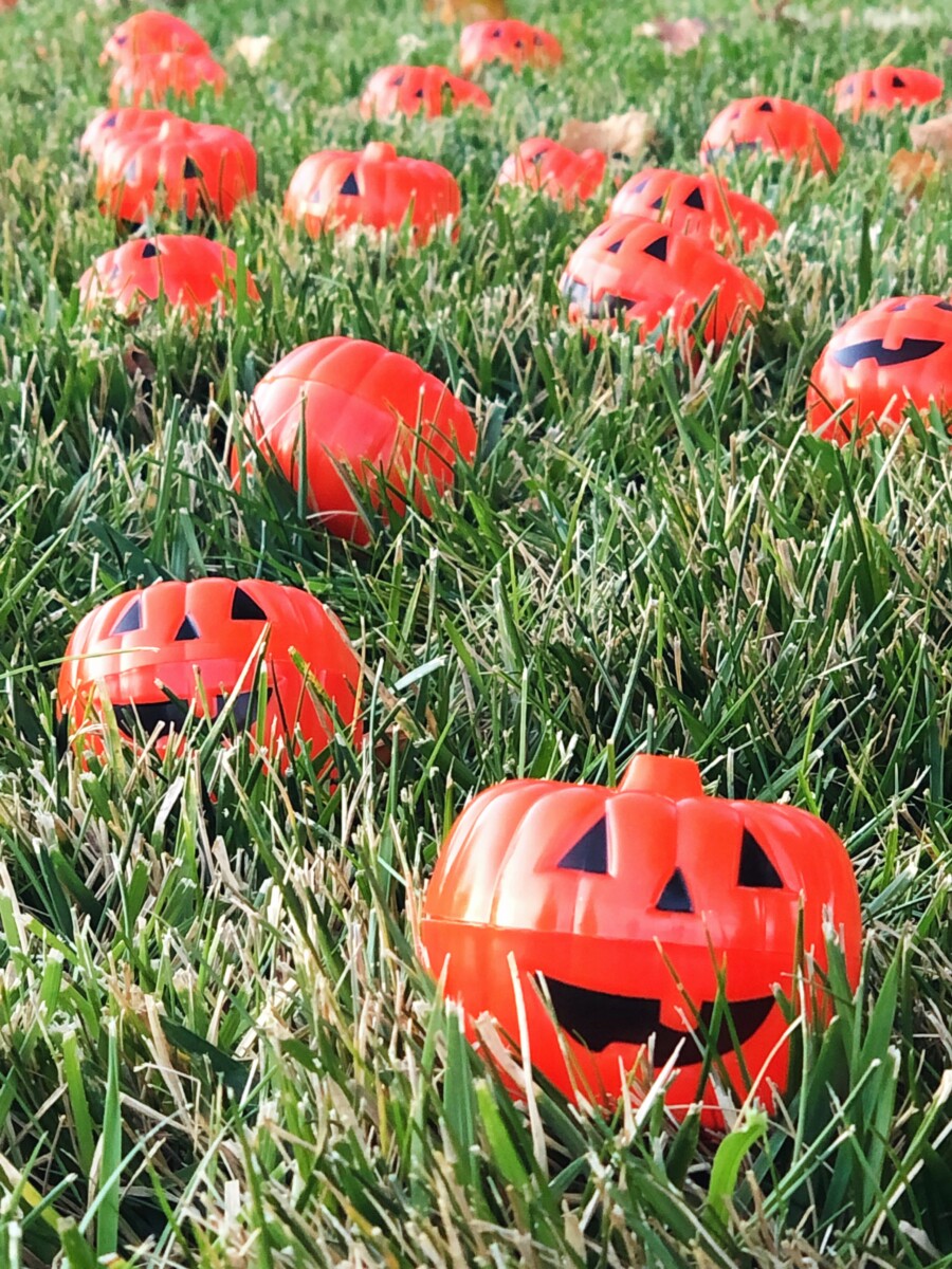 Pick Your Own Pumpkin Patch Safe Halloween Trick or Treating Idea - Her Heartland Soul