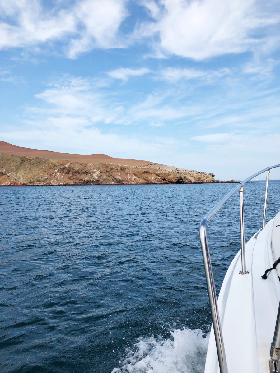 Ballestas Islands Paracas - Peru - Her Heartland Soul