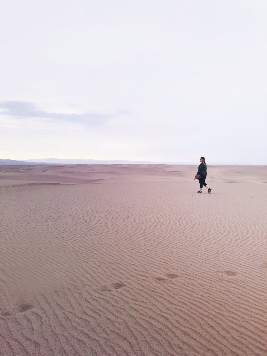 Paracas Reserve and Huacachina Sand Dunes - Peru - Her Heartland Soul