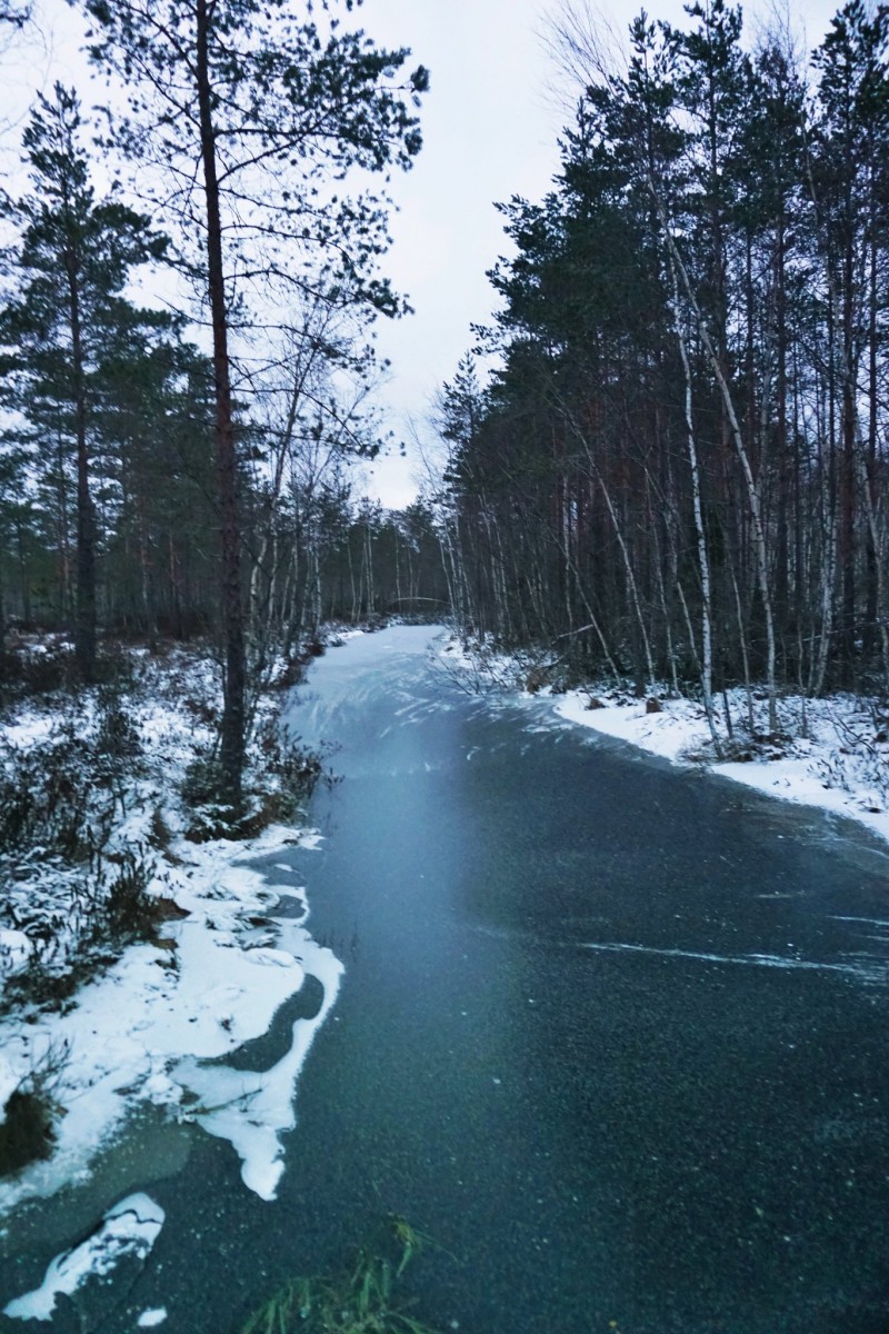 Hiking Kurjenrahka National Park Turku Finland Her Heartland Soul