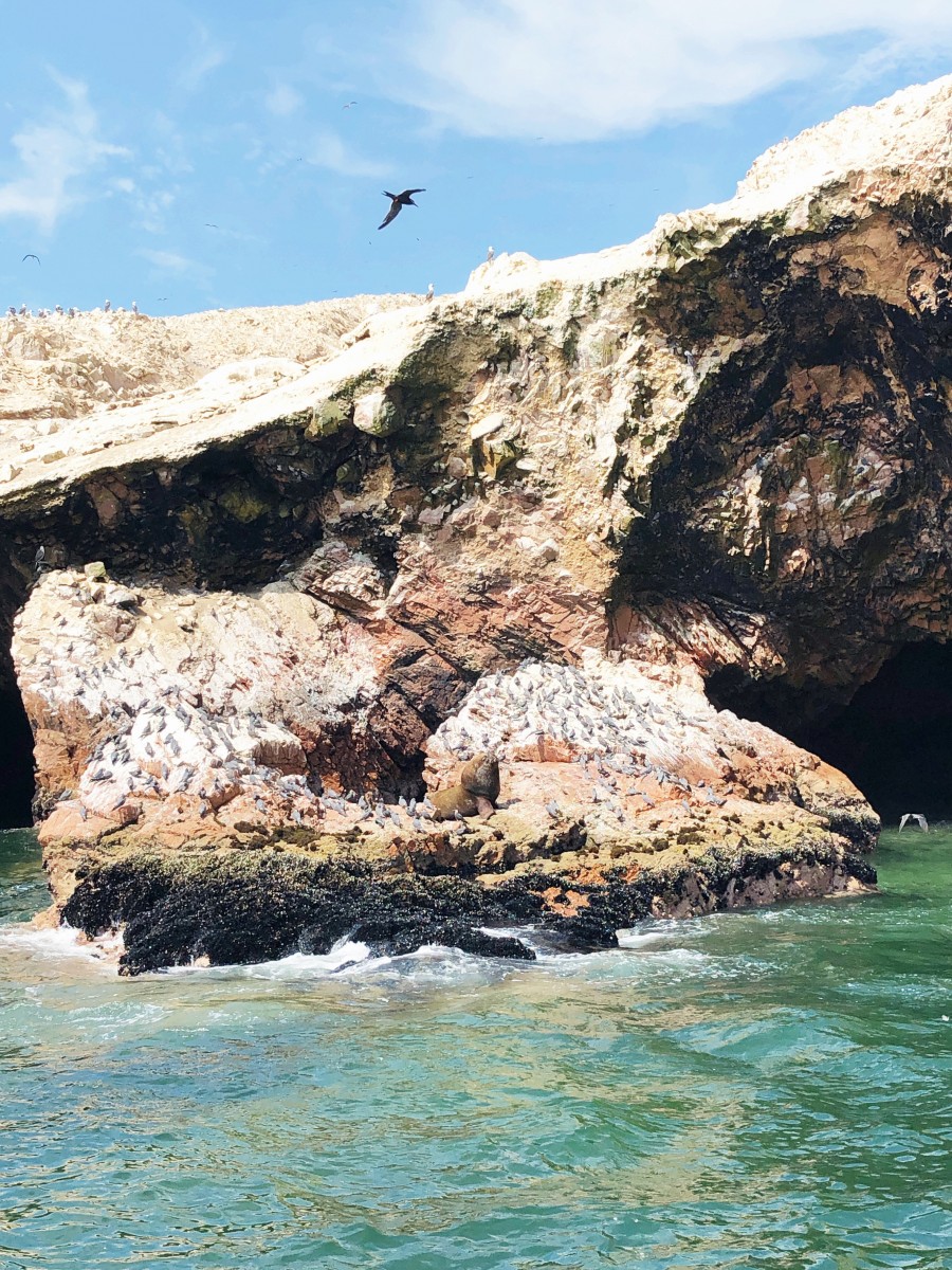 Ballestas Islands Paracas - Peru - Her Heartland Soul