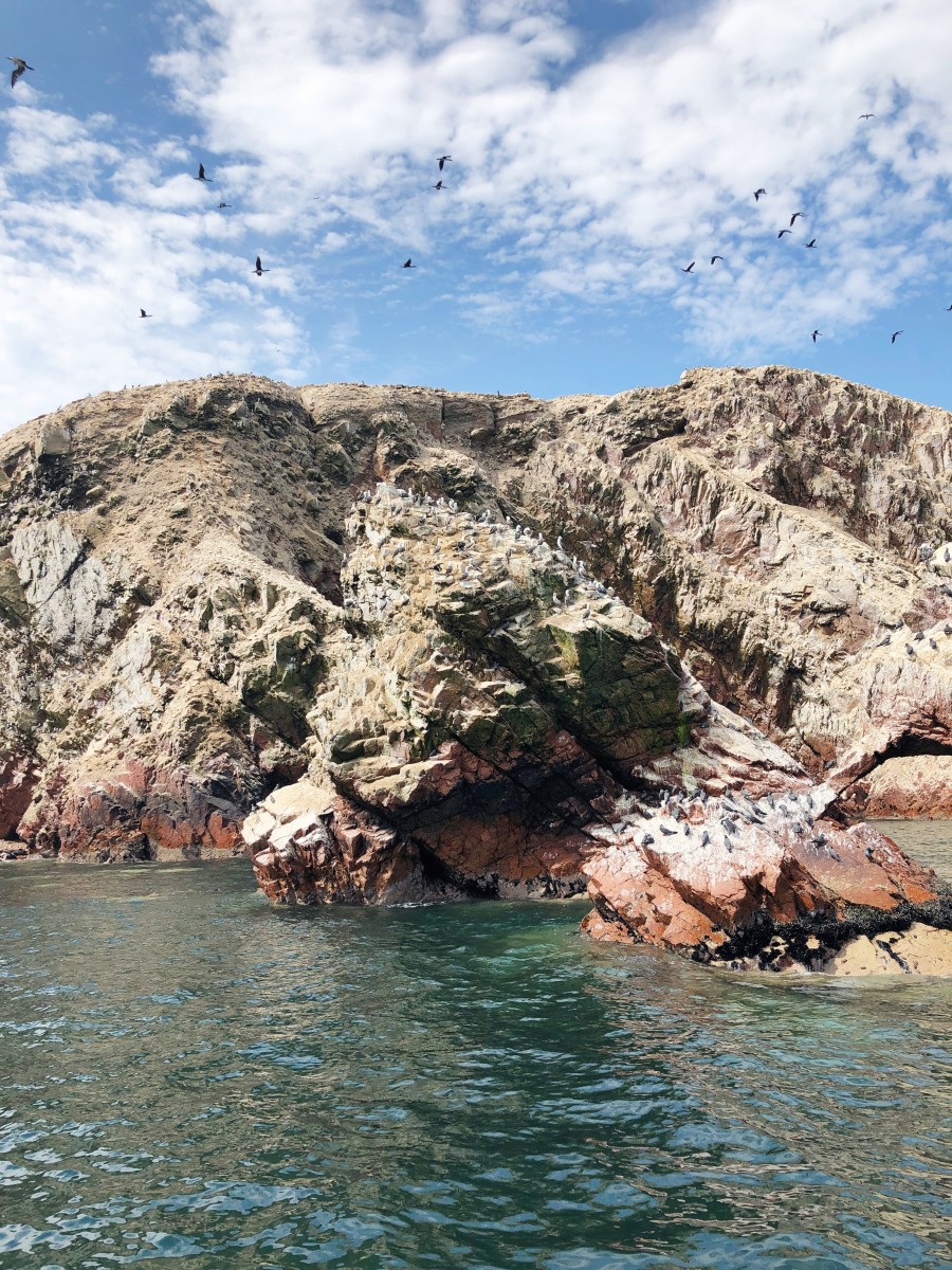 Ballestas Islands Paracas - Peru - Her Heartland Soul