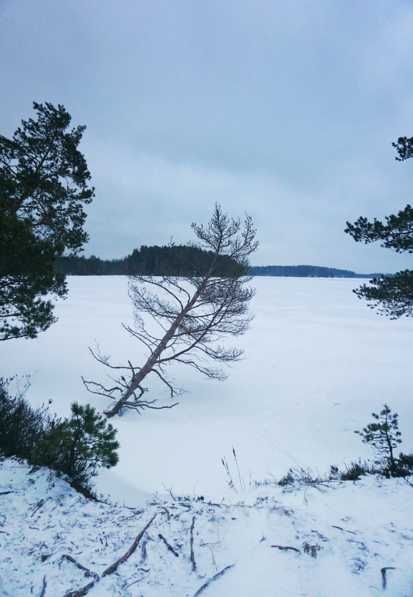 Hiking Kurjenrahka National Park Turku Finland Her Heartland Soul