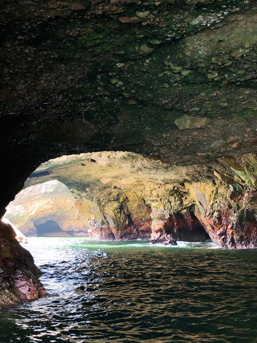 Ballestas Islands Paracas - Peru - Her Heartland Soul