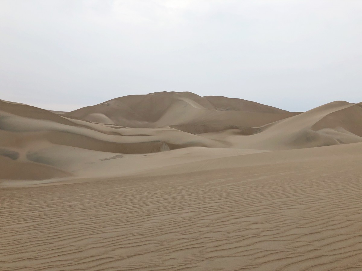 Paracas Reserve and Huacachina Sand Dunes - Peru - Her Heartland Soul