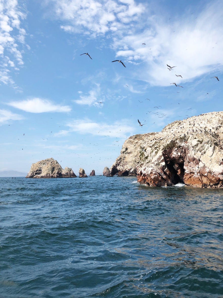 Ballestas Islands Paracas - Peru - Her Heartland Soul