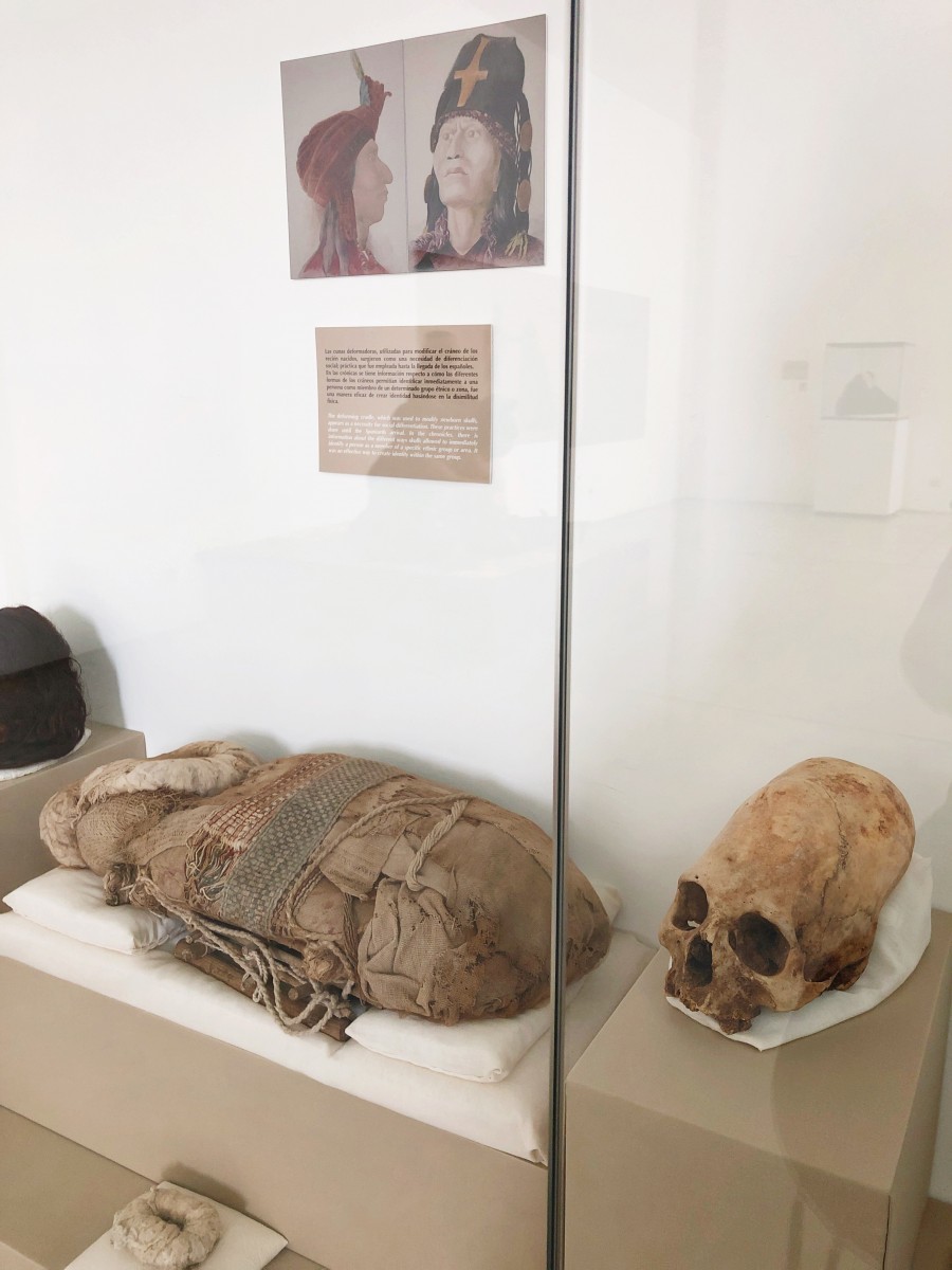 Museo de Sitio "Julio C. Tello" de Paracas Mummy Bodies- Paracas Peru - Her Heartland Soul