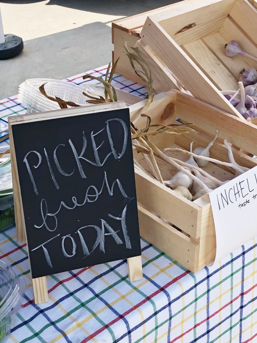 Supporting Local: Omaha Farmers Market Aksarben - Her Heartland Soul