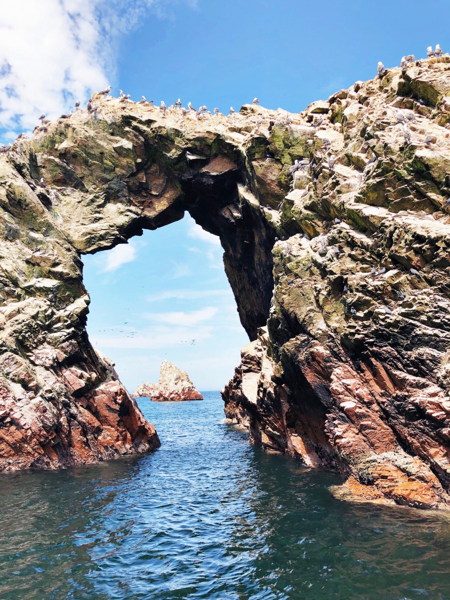 Ballestas Islands Paracas - Peru - Her Heartland Soul