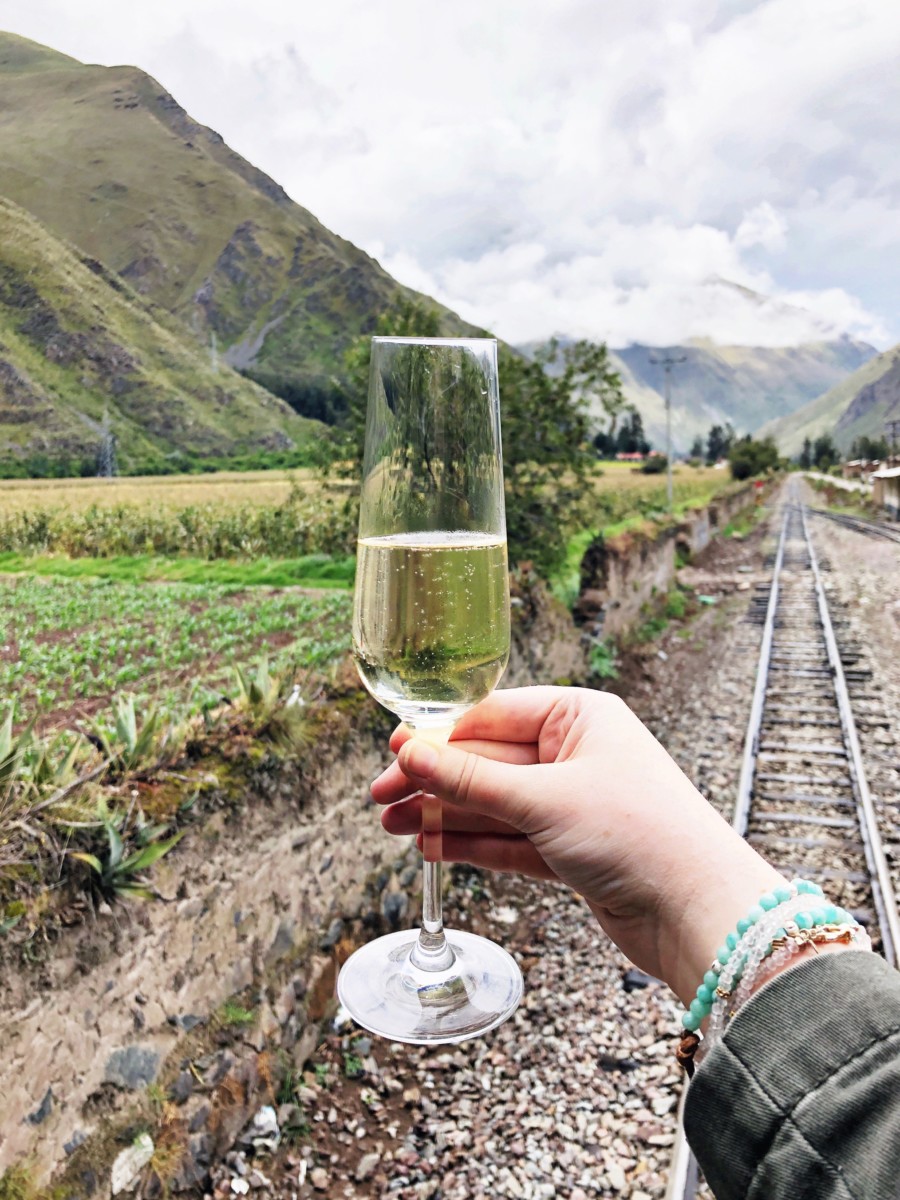 Girl holding wine glass on train to Machu Picchu