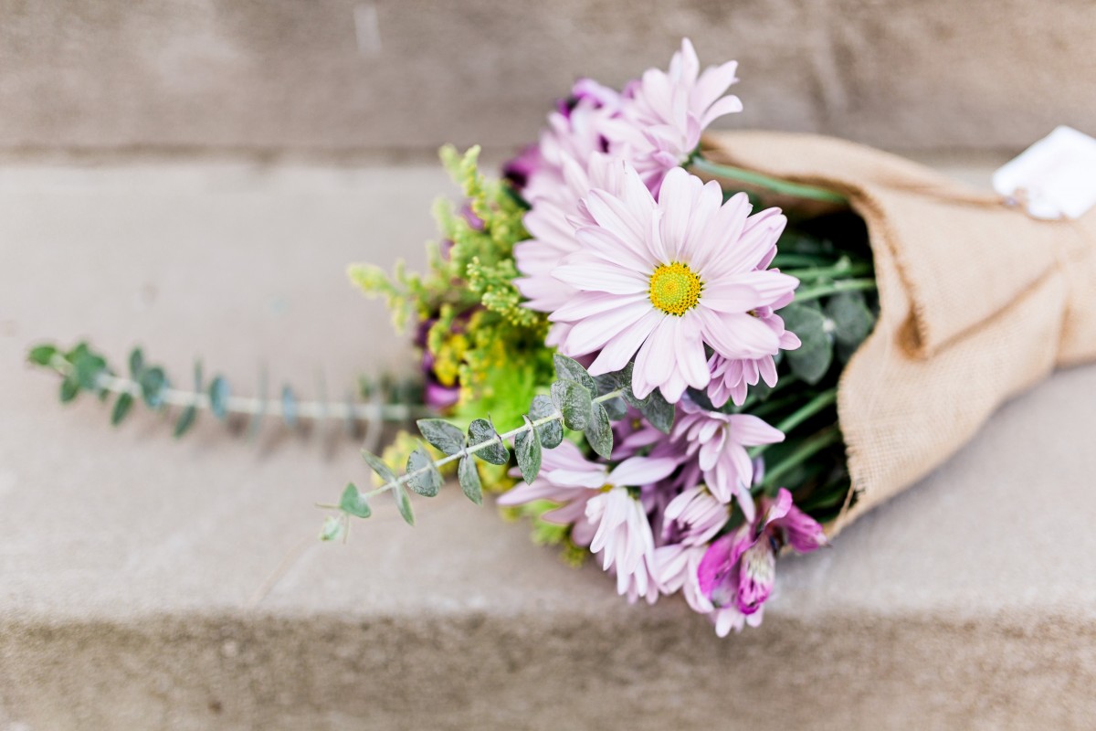 Zinnia Flowers Omaha, Nebraska Her Heartland Soul