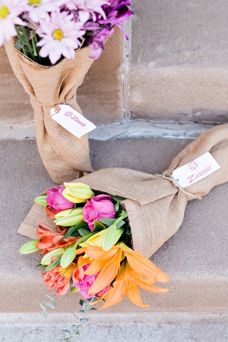 Zinnia Flowers Omaha, Nebraska Her Heartland Soul