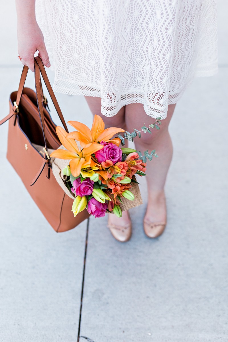 Zinnia Flowers Omaha, Nebraska Her Heartland Soul