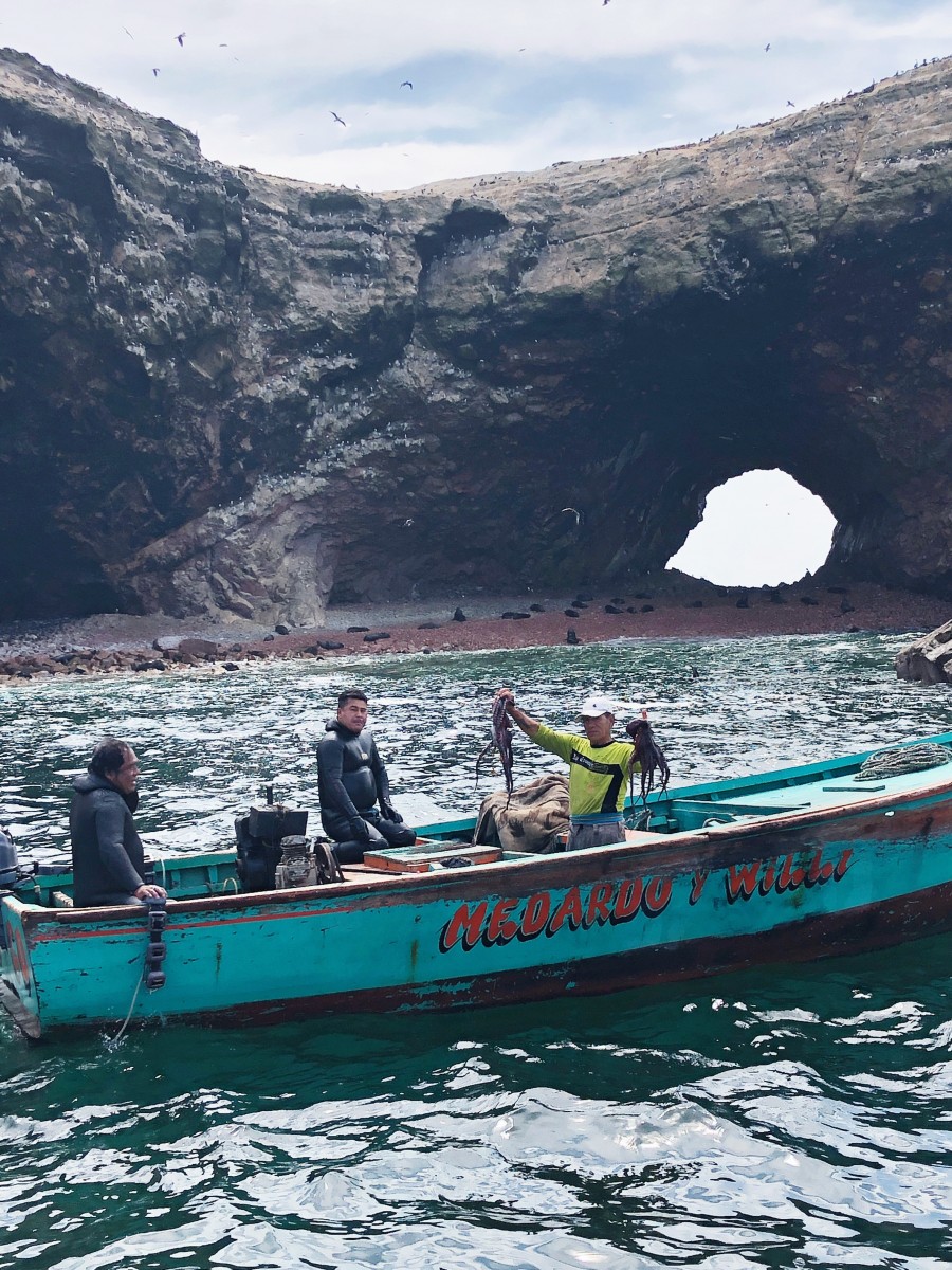 Ballestas Islands Paracas - Peru - Her Heartland Soul