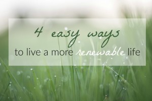 4 easy ways to live a more renewable life her heartland soul