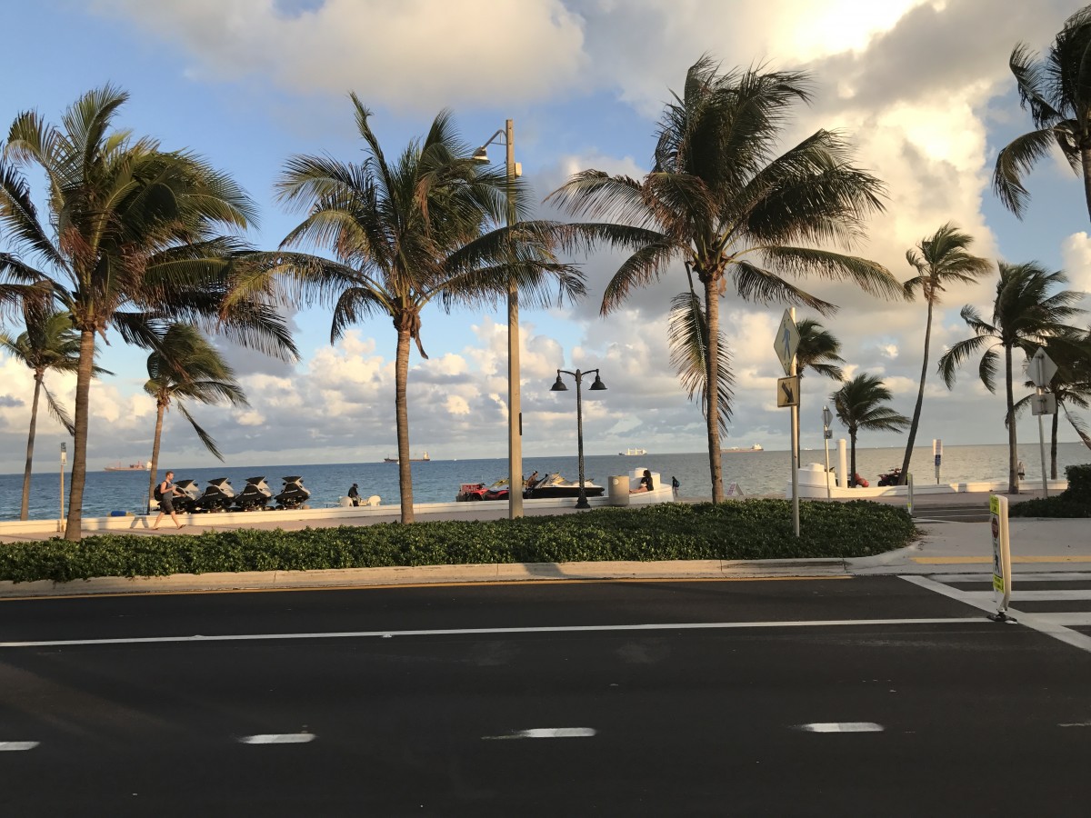 Casablanca Cafe Fort Lauderdale Her Heartland Soul