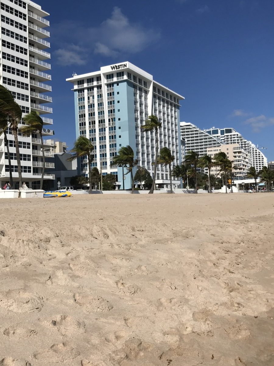 The Westin Fort Lauderdale Beach Resort Her Heartland Soul